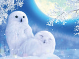 Snow Owls Diamond Painting Kit - diamond-painting-bliss.myshopify.com