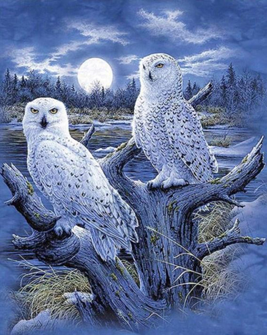 Snow Owls Pair Diamond Painting - diamond-painting-bliss.myshopify.com