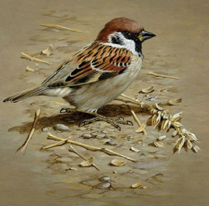 Sparrow DIY Painting Kit - diamond-painting-bliss.myshopify.com