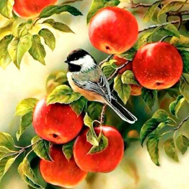Sparrow Sitting on Apples Tree - diamond-painting-bliss.myshopify.com