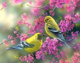 Sparrows 5D Diamond Painting Kit - diamond-painting-bliss.myshopify.com