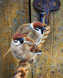 Sparrows Sitting on the Rope - diamond-painting-bliss.myshopify.com