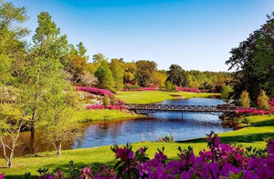 Spring Park View Diamond Painting - diamond-painting-bliss.myshopify.com