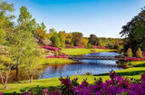 Spring Park View Diamond Painting - diamond-painting-bliss.myshopify.com