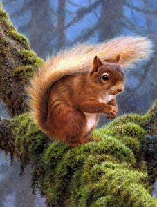 Squirrel in the Forest - diamond-painting-bliss.myshopify.com