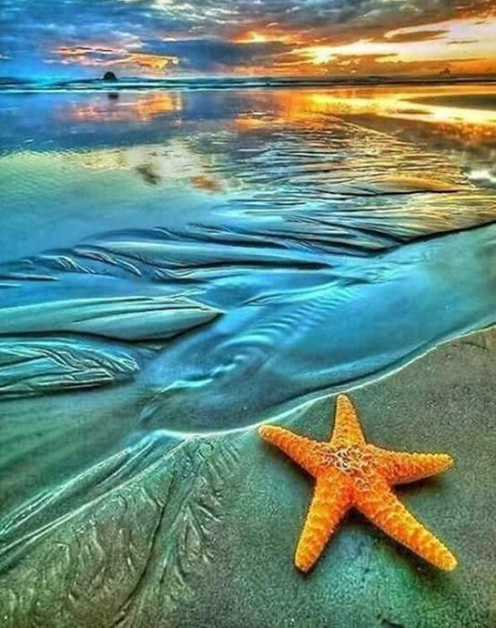 Star Fish - Paint by Diamonds - diamond-painting-bliss.myshopify.com
