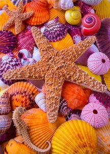 Star Fish Among Sea Shells - diamond-painting-bliss.myshopify.com