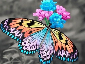 Stunning Butterfly & Flowers - diamond-painting-bliss.myshopify.com