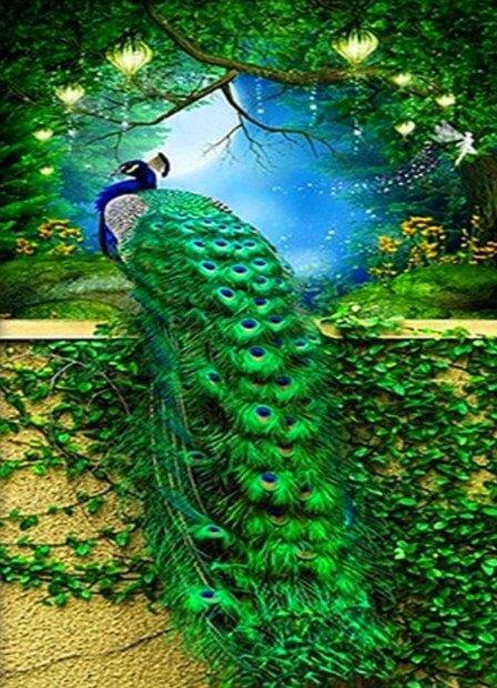 Stunning Peacock Painting Kit - diamond-painting-bliss.myshopify.com