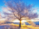 Stunning Tree - Paint by Diamonds - diamond-painting-bliss.myshopify.com
