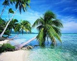 Summer Beach & Palm Trees - diamond-painting-bliss.myshopify.com