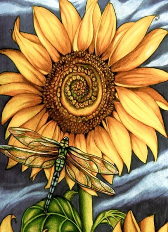 Sunflower & Dragon Fly - diamond-painting-bliss.myshopify.com