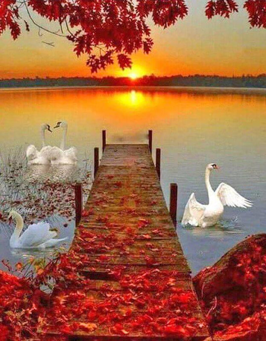 Sunset & Swans Diamond Painting Kit - diamond-painting-bliss.myshopify.com