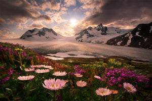 Sunset in Alaska Diamond Painting - diamond-painting-bliss.myshopify.com