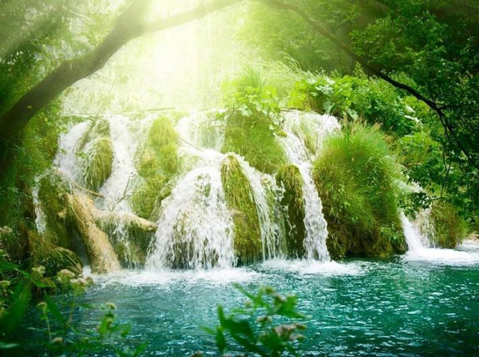 Sunshine & Forest Waterfall - diamond-painting-bliss.myshopify.com