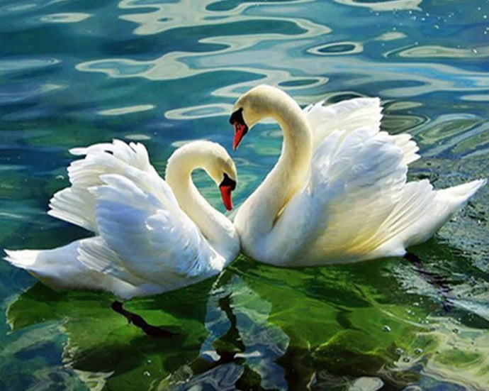 Swan Couple in the Lake - diamond-painting-bliss.myshopify.com