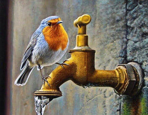 Sweet Bird & Water Tap - diamond-painting-bliss.myshopify.com