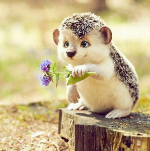 Sweet Hedgehog with Flowers - diamond-painting-bliss.myshopify.com