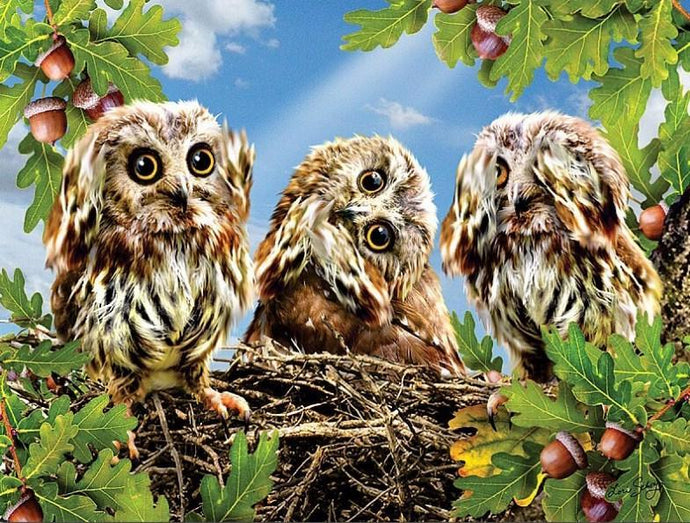 Three Owls on the Tree Diamond Painting - diamond-painting-bliss.myshopify.com