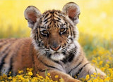 Tiger Cub - diamond-painting-bliss.myshopify.com