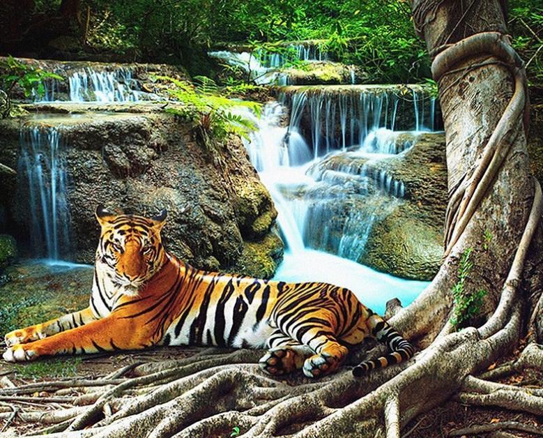 Tiger Resting by Waterfall - diamond-painting-bliss.myshopify.com