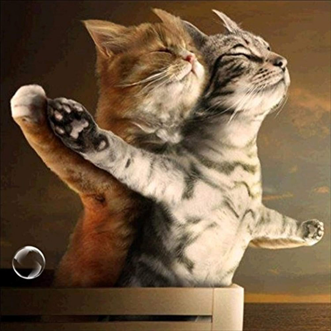 Titanic Cats Diamond Painting kit - diamond-painting-bliss.myshopify.com