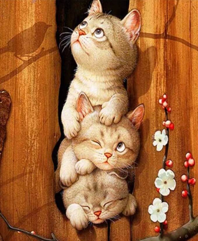 Triplets Cats Painting Kit - diamond-painting-bliss.myshopify.com