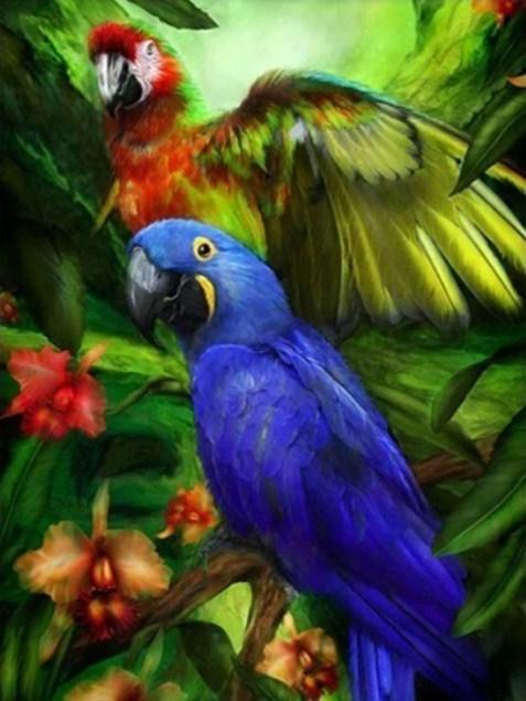 Tropical Birds - Paint by Diamonds - diamond-painting-bliss.myshopify.com