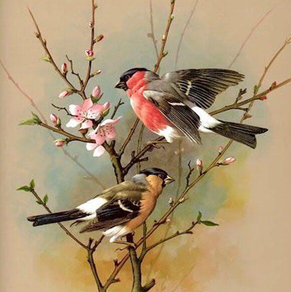 Vintage Birds Painting Kit - diamond-painting-bliss.myshopify.com