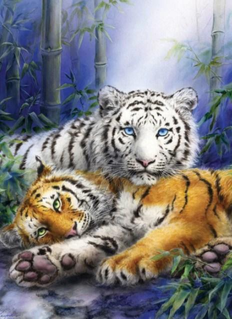 White & Brown Tigers Diamond Painting - diamond-painting-bliss.myshopify.com