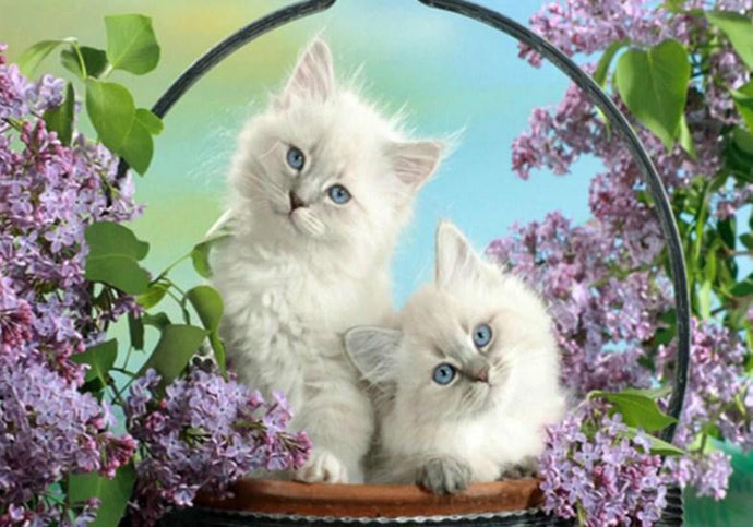 White Cats with Blue Eyes - diamond-painting-bliss.myshopify.com