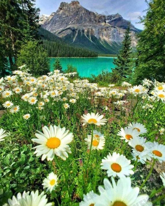White Daisies & Mountain View - diamond-painting-bliss.myshopify.com