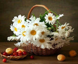 White Daisies in the Basket - diamond-painting-bliss.myshopify.com