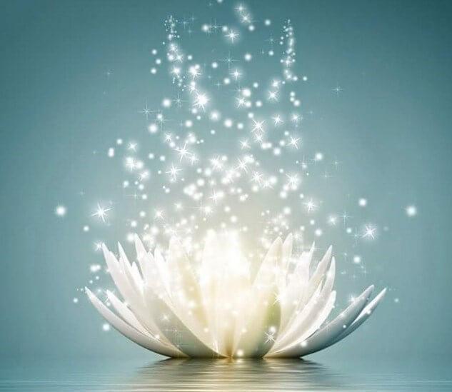 White Lotus Art - diamond-painting-bliss.myshopify.com