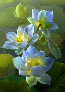 White Lotus Flowers Painting Kit - diamond-painting-bliss.myshopify.com