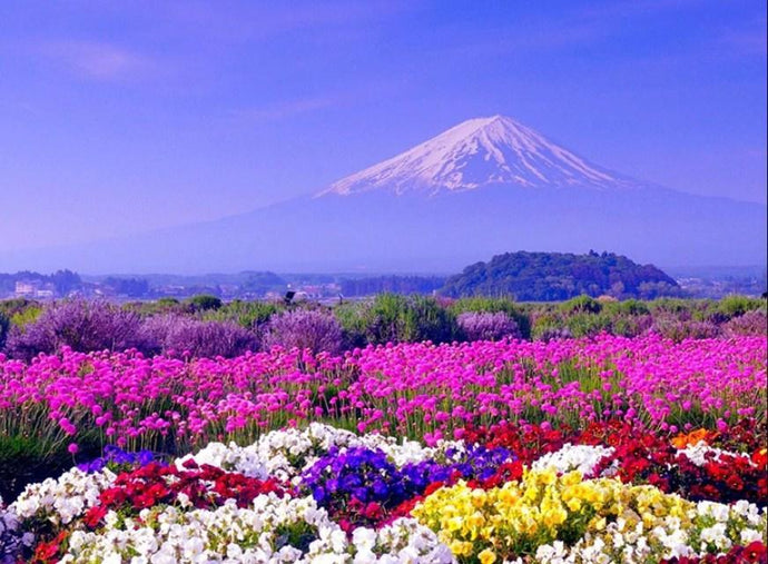 White Mountain & Colorful Flowers - diamond-painting-bliss.myshopify.com