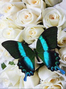 White Roses & Butterfly Diamond Painting - diamond-painting-bliss.myshopify.com