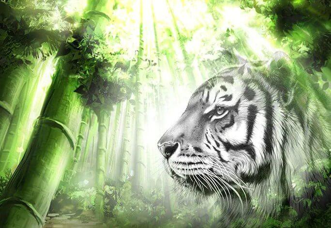 White Tiger & Green Forest - diamond-painting-bliss.myshopify.com