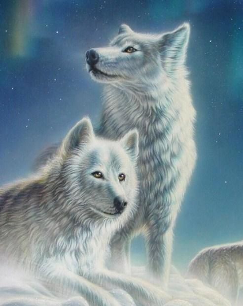 White Wolves Pair Diamond Painting - diamond-painting-bliss.myshopify.com