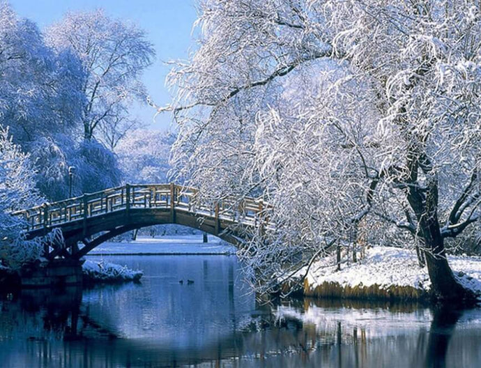 Winter Landscape Painting - diamond-painting-bliss.myshopify.com