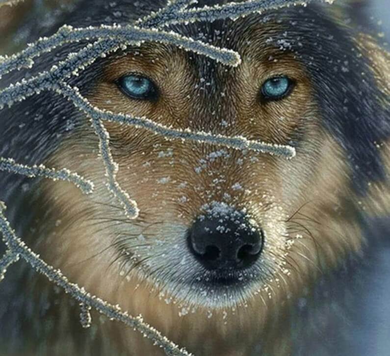 Wolf in the Winter - diamond-painting-bliss.myshopify.com