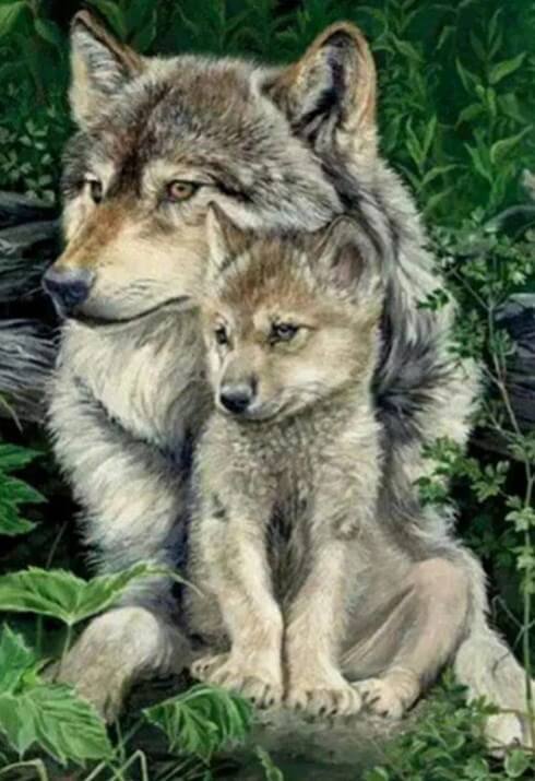 Wolf with Baby Diamond Painting - diamond-painting-bliss.myshopify.com
