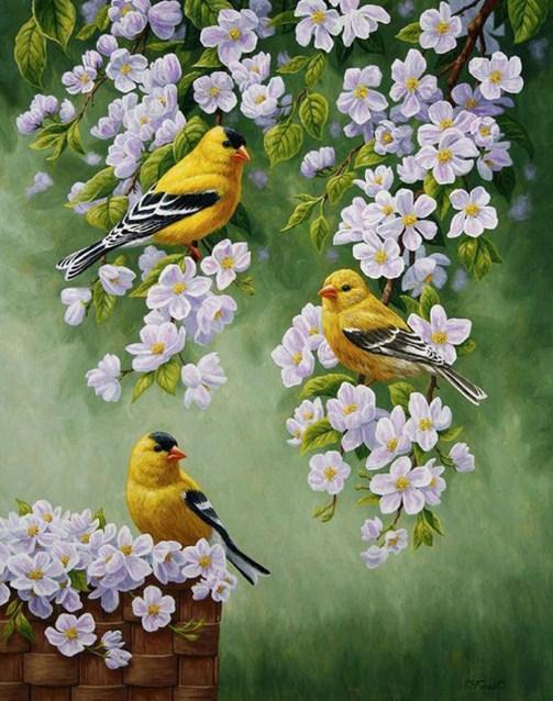 Yellow Birds & White Flowers - diamond-painting-bliss.myshopify.com
