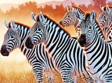 Zebras DIY Diamond Painting Kit - diamond-painting-bliss.myshopify.com