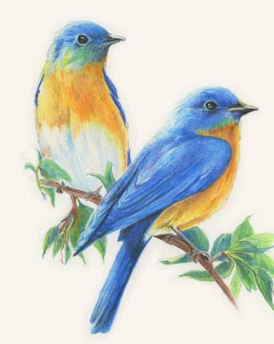 birds couple Painting with Diamond - diamond-painting-bliss.myshopify.com