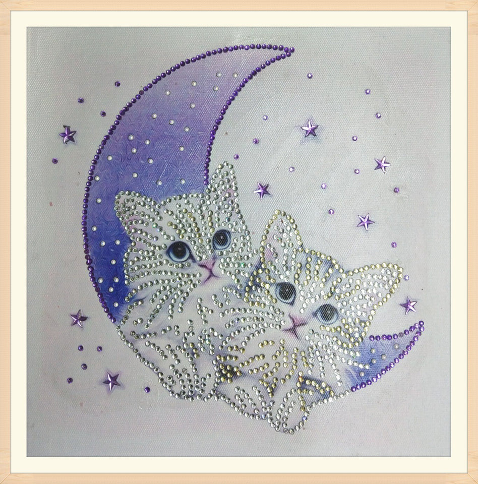 Small Cute Cats On Moon