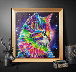 Cat In Multi color With Stars