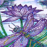 Dragon Fly On Purple Flowers