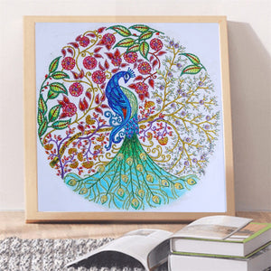 Multi Color Peacock Beautiful Painting