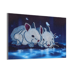Two White Rabbits In Night